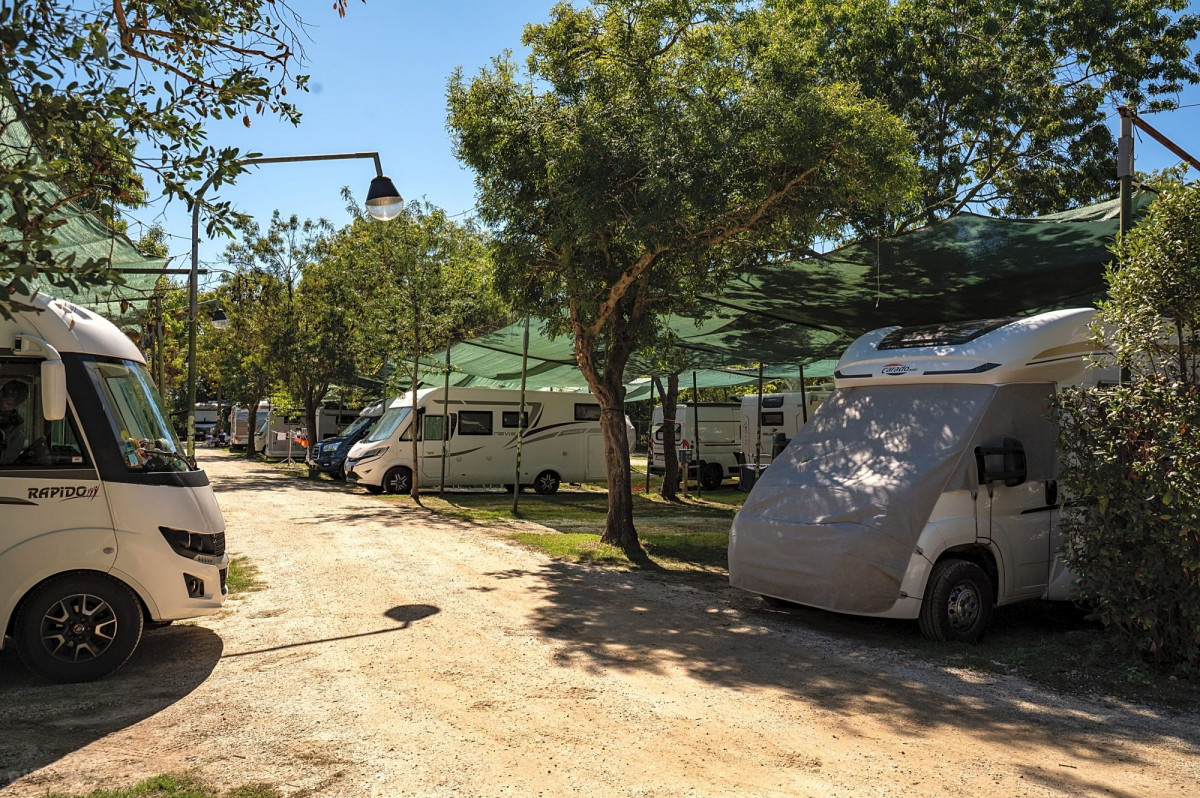 Til Pisa i autocamper