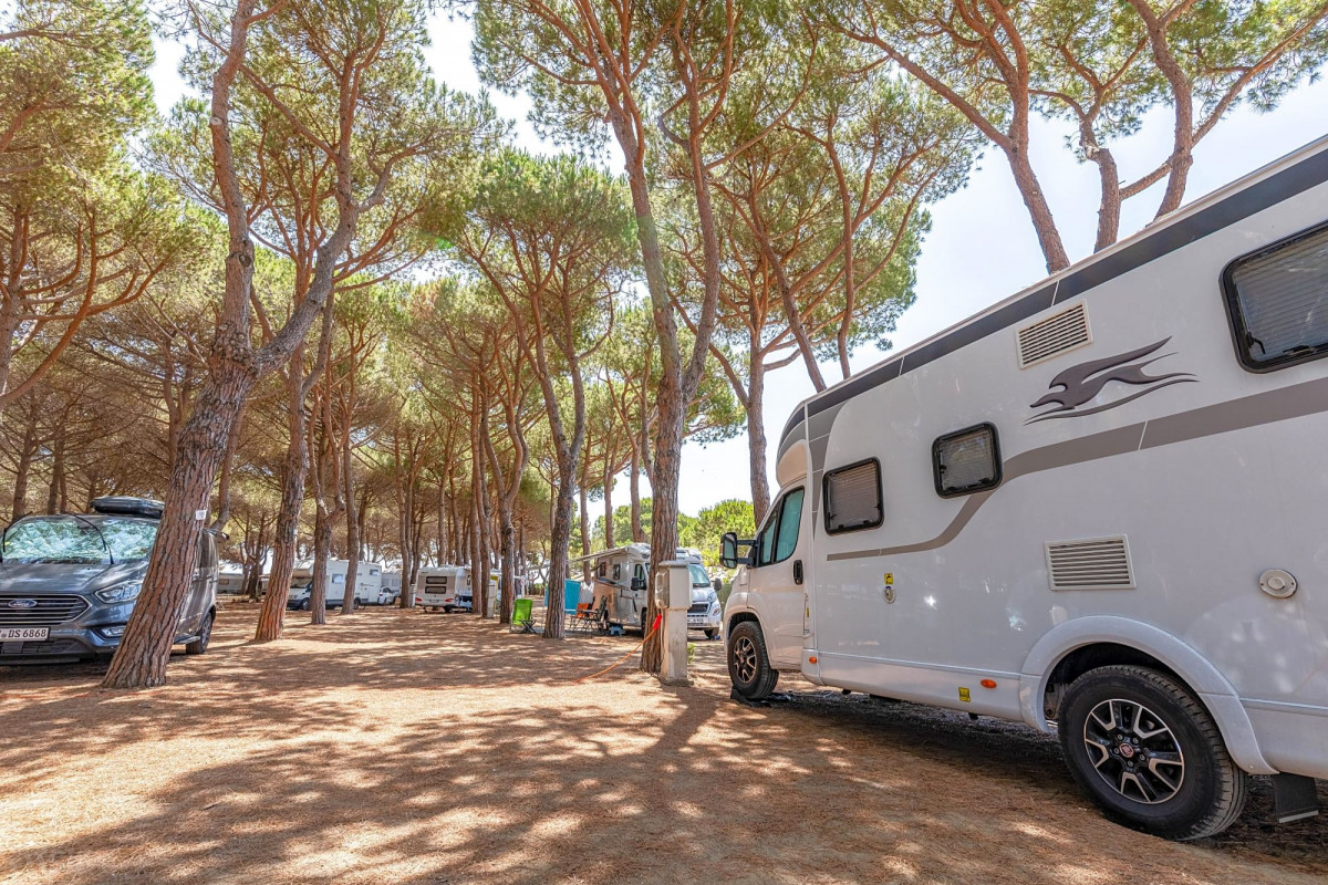 Til Pisa i autocamper